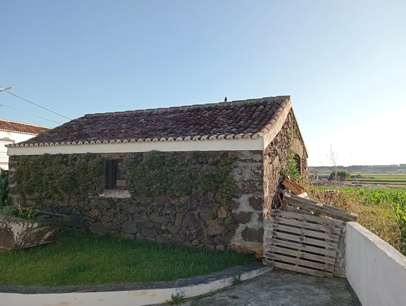 Photos of Rosário Guest House in R. António Homem 2, 9760, Portugal - Photo 1