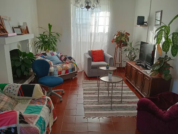 Photos of Rosário Guest House in R. António Homem 2, 9760, Portugal - Photo 4