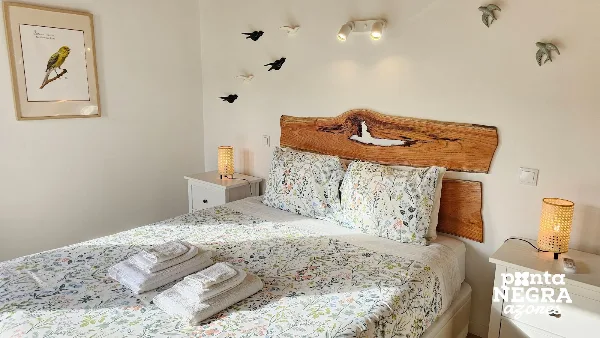 Photos of Bird House by PontaNegraAzores in Terreiro Dona Rosa nº 41 A, 9700-309 Altares, Portugal - Photo 3