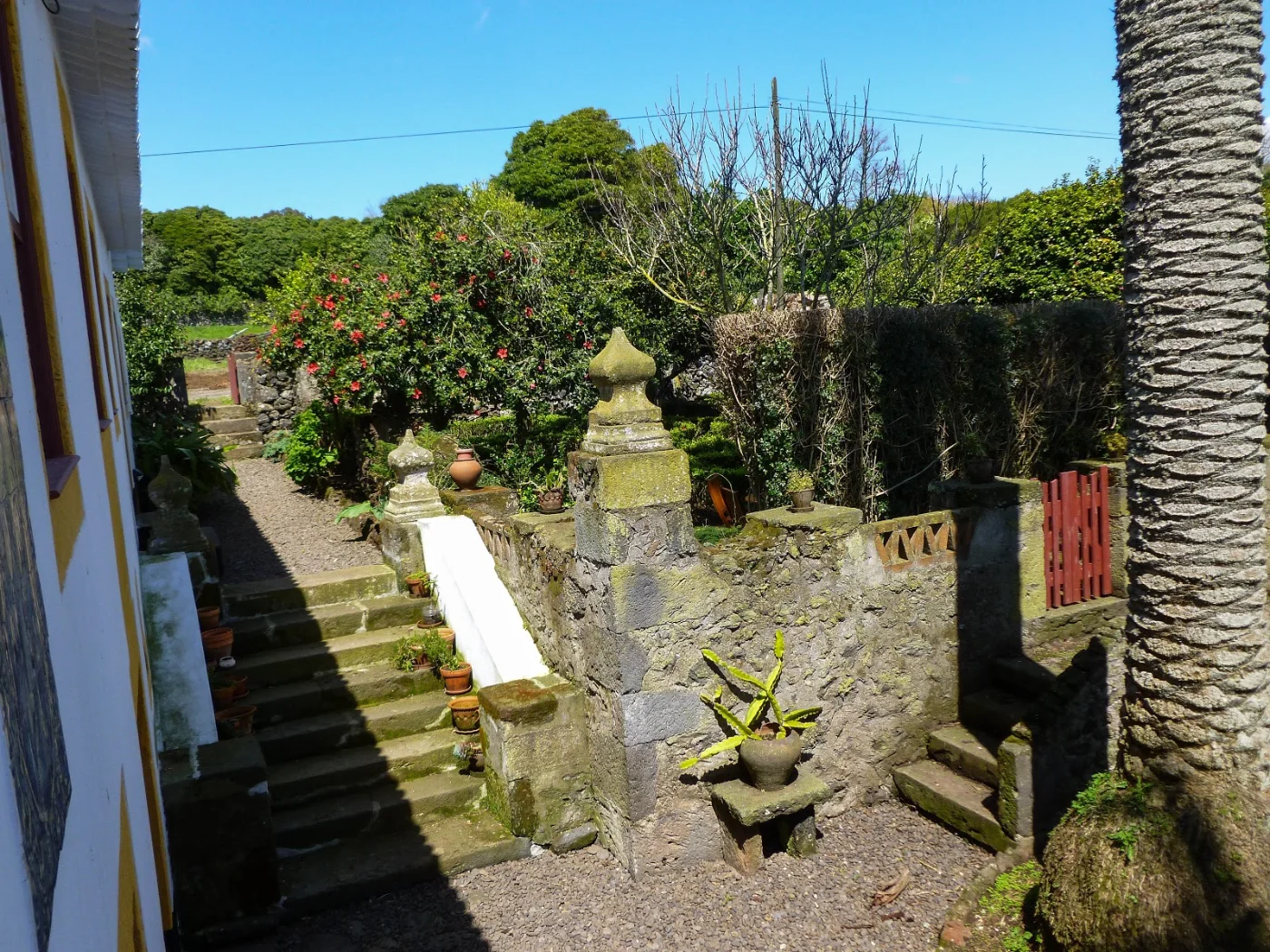 Photos of Quinta do Espírito Santo in R. Dr. Teotónio Machado Pires 36, 9700-517 Angra do Heroísmo, Portugal - Photo 1