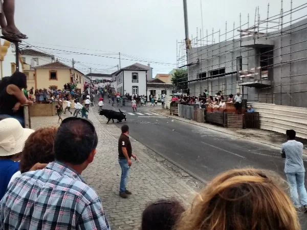 Photos of Church Feteira in EN1-1A 10, 9700 Feteira, Portugal - Photo 2