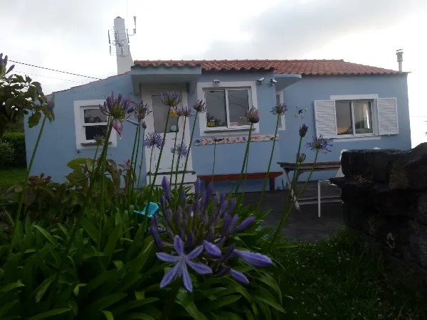 Photos of Casa da Paz in Canada da Inês 6, 9900-341 Cedros, Portugal - Photo 2