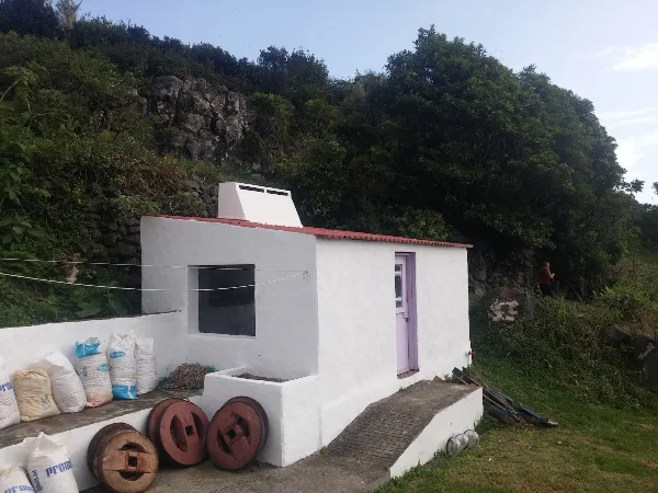Photos of Forest view Guest house in R. do Tabuleiro, 9960-220 Lajes das Flores, Portugal - Photo 4