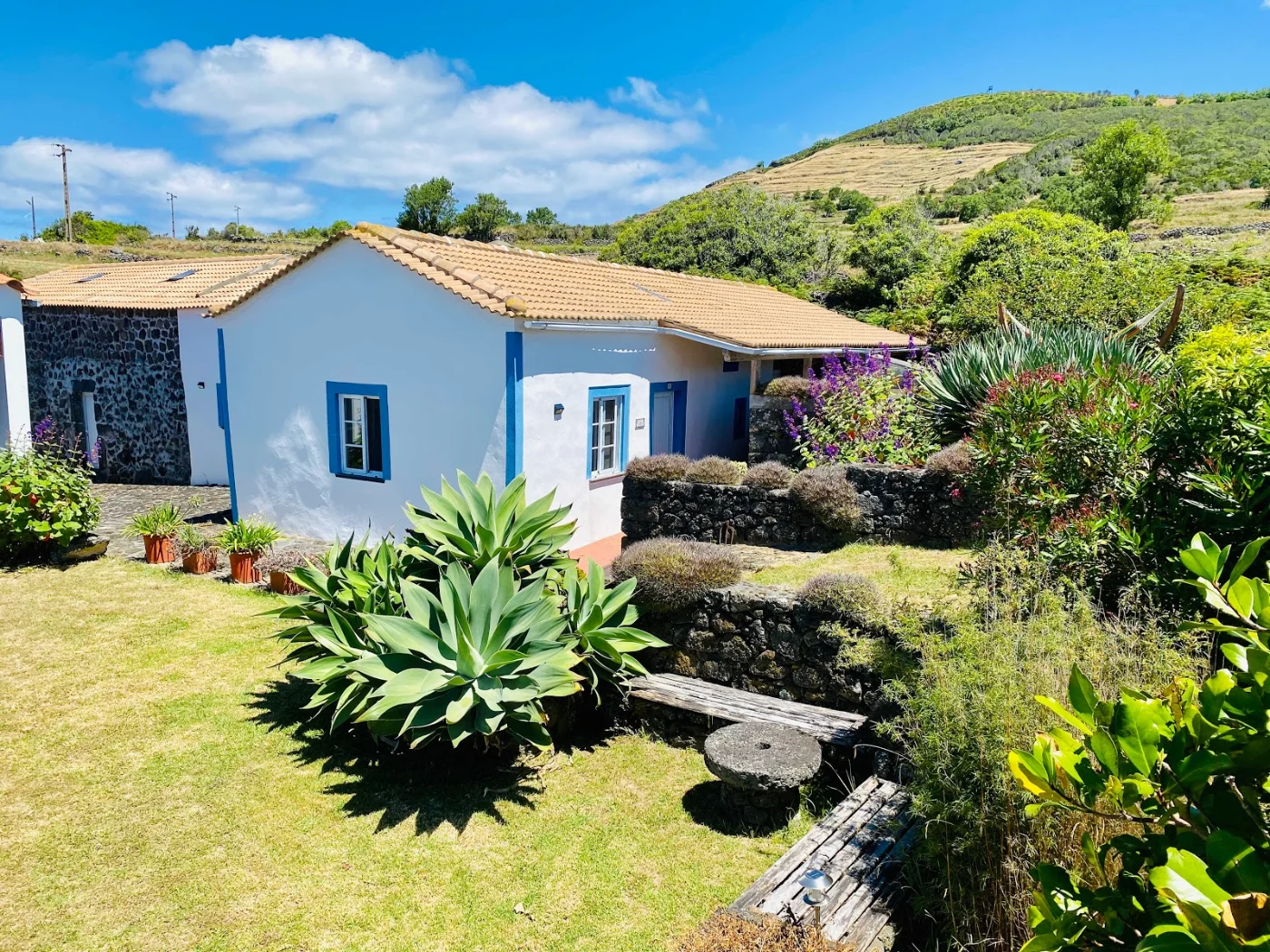 Photos of Quinta Perpétua in Caminho da Ribeira 3, 9880-173 Luz, Portugal - Photo 1