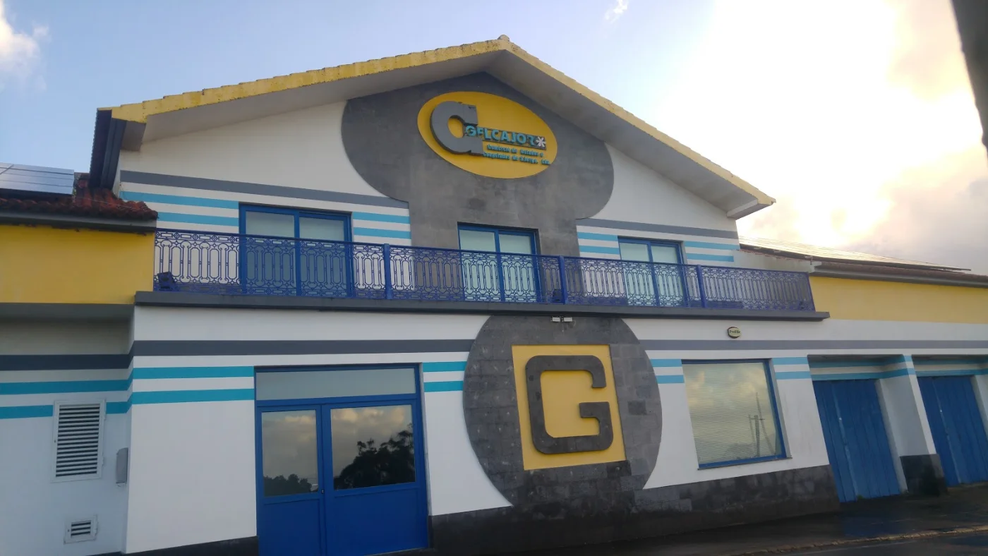Photos of Gelcajor-Comercio De Gelados E Congelados De S. Jorge, Lda in 9800, Portugal - Photo 1