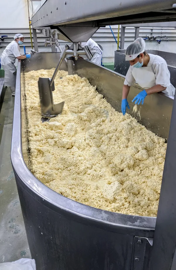 Photos of Finisterra – Cooperativa de Lacticínios do Topo, CRL in 9875-039 Santo Antão, Portugal - Photo 3