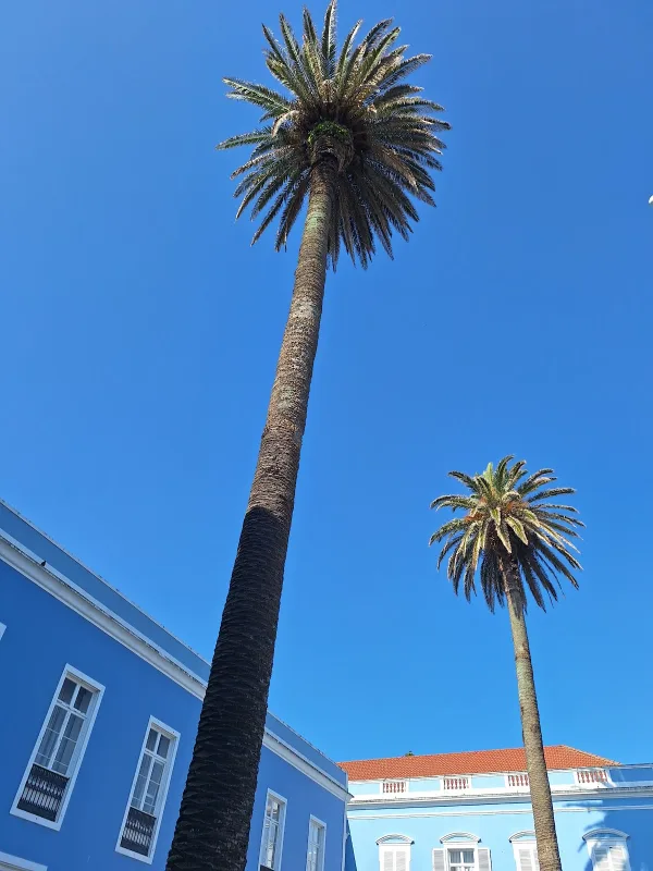 Photos of Núcleo Autonomia dos Açores in São José, 9500-244 Ponta Delgada, Portugal - Photo 3