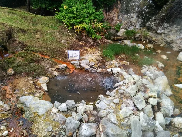 Photos of OMIC - Microbial Observatory of the Azores in Antigo Chalé das Misturas, 9675-045 Furnas, Portugal - Photo 3