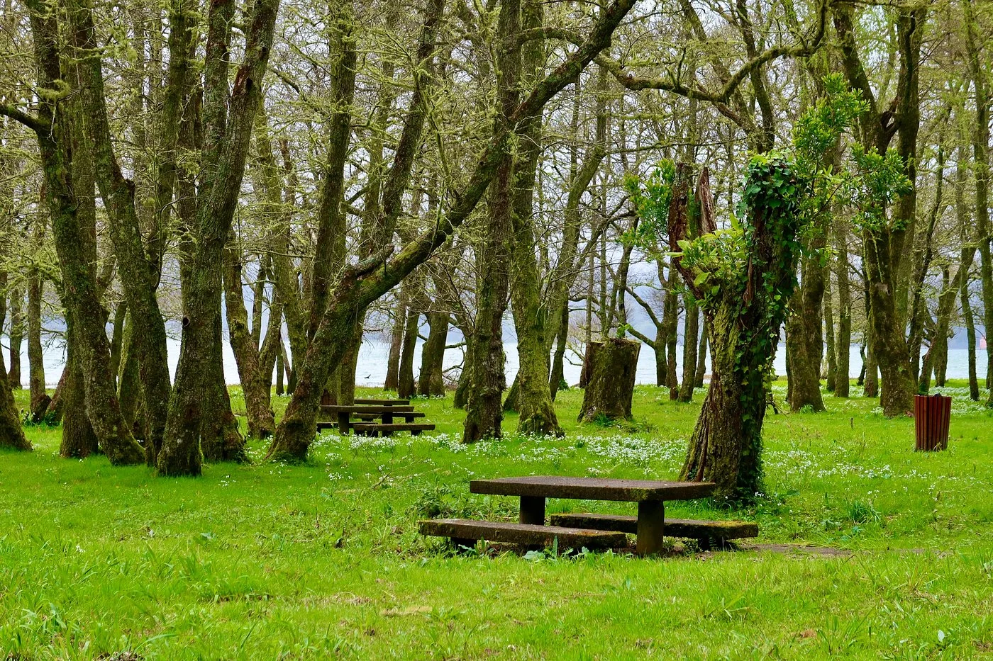 Photos of Lagoa das Furnas in Furnas Lake, 9675, Portugal - Photo 3
