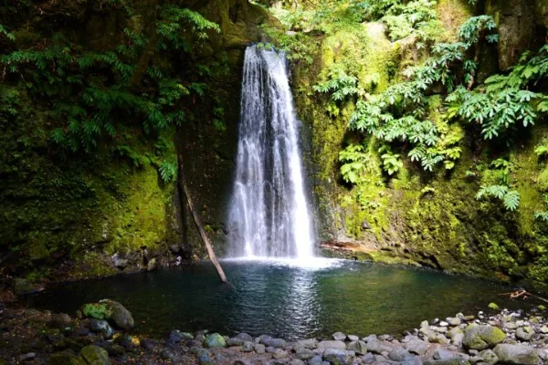 Sanguinho Trail - PRC09SMI — Azores by Rui review