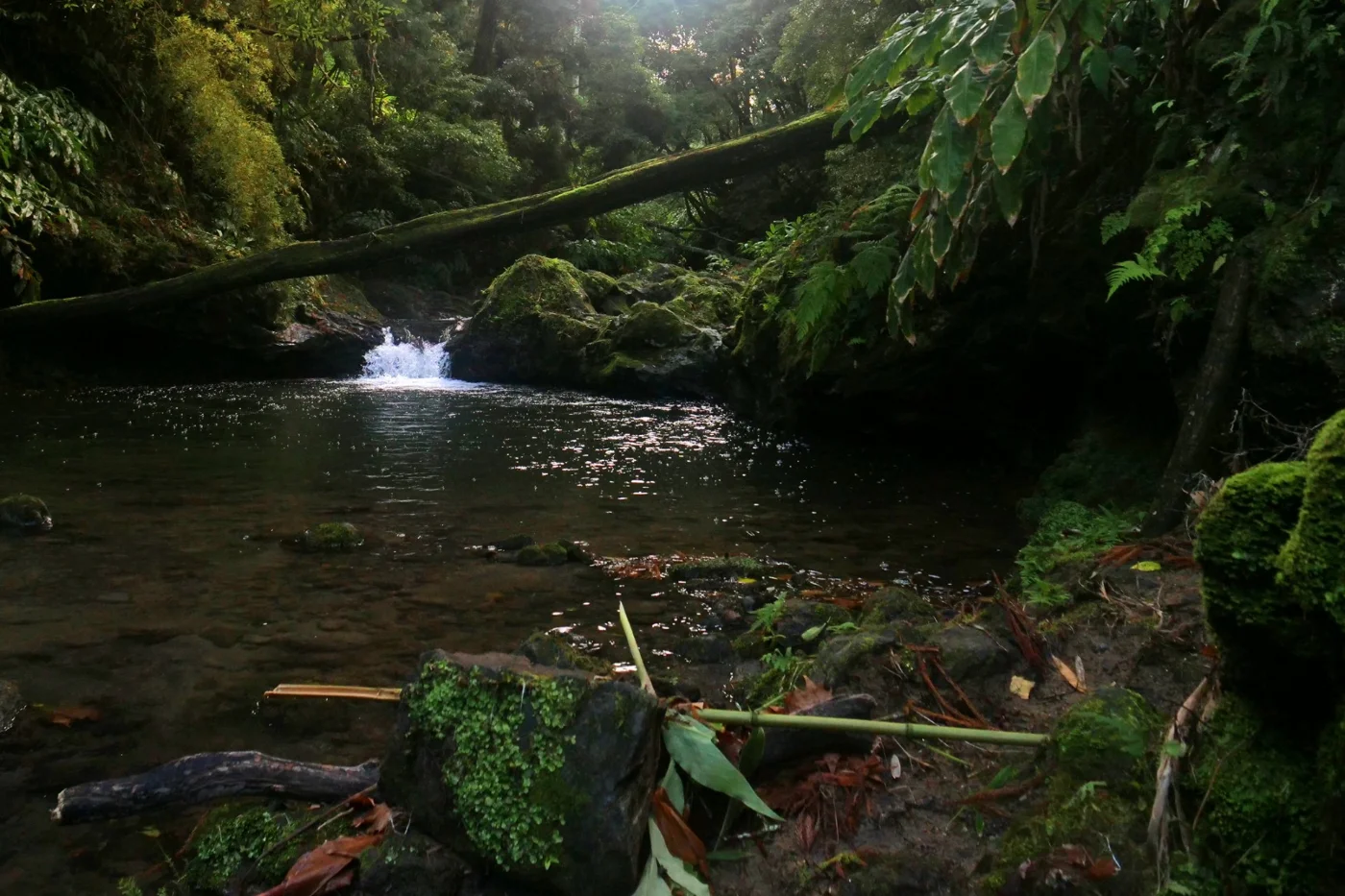 Photos of Félix's Mill Trail - TM06 in Unnamed Road, 9630, 9630, Portugal - Photo 4