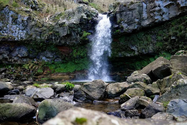 Félix's Mill Trail - TM06 — Azores by Rui review