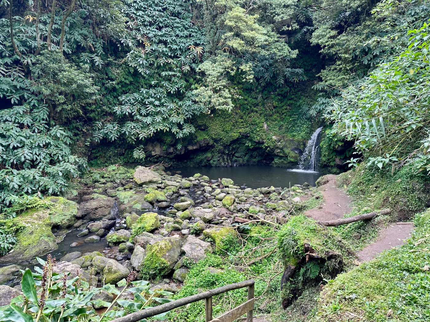Photos of Trilho do Poço Azul in 9630 Achadinha, Portugal - Photo 3