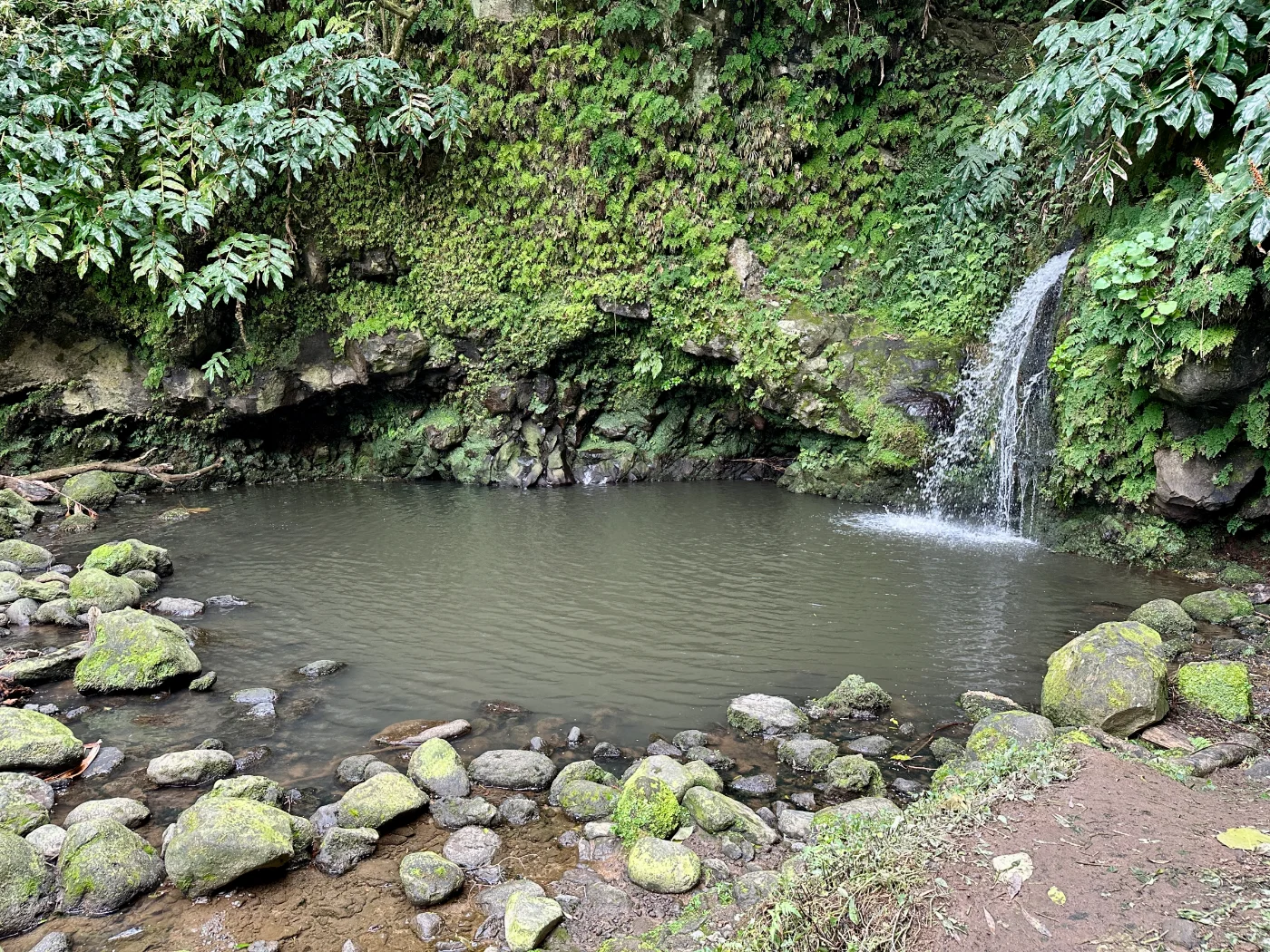 Photos of Trilho do Poço Azul in 9630 Achadinha, Portugal - Photo 1