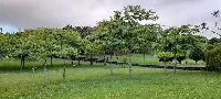 Parque Urbano de Ponta Delgada