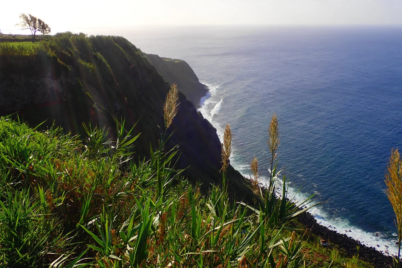 Photos of Rocha da Relva in Unnamed Road, 9500, 9500-000 Relva, Portugal - Photo 1