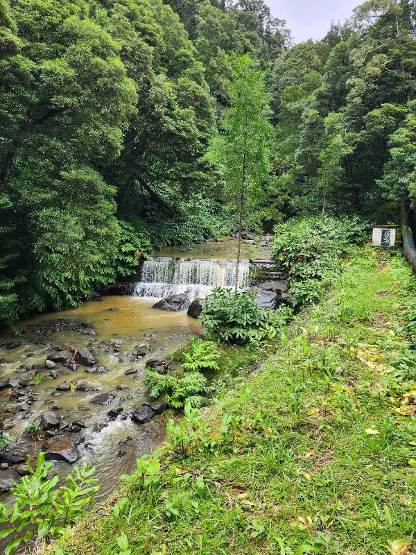 Photos of Salto do Cabrito - PRC 29 SMI in QGX7+24, 9600 Ribeira Grande, Portugal - Photo 4