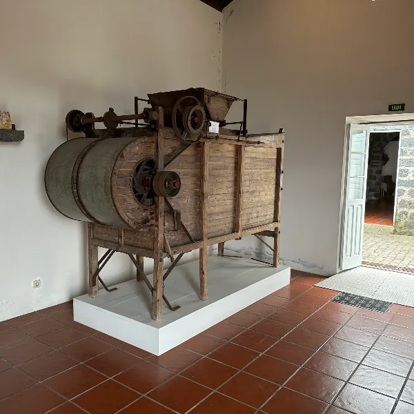 Photos of Porto Formoso Tea Factory in Estrada Regional nº 24, 9625-413 Porto Formoso, Portugal - Photo 5