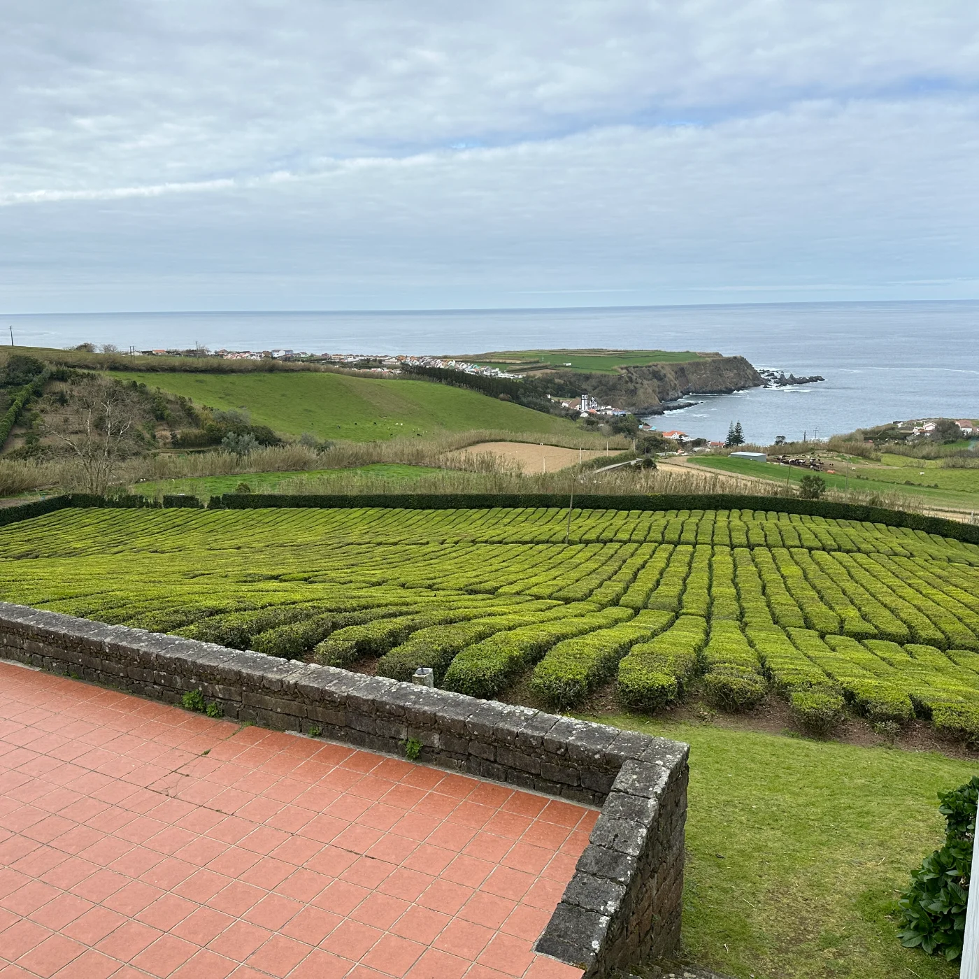 Photos of Porto Formoso Tea Factory in Estrada Regional nº 24, 9625-413 Porto Formoso, Portugal - Photo 1