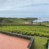 Porto Formoso Tea Factory