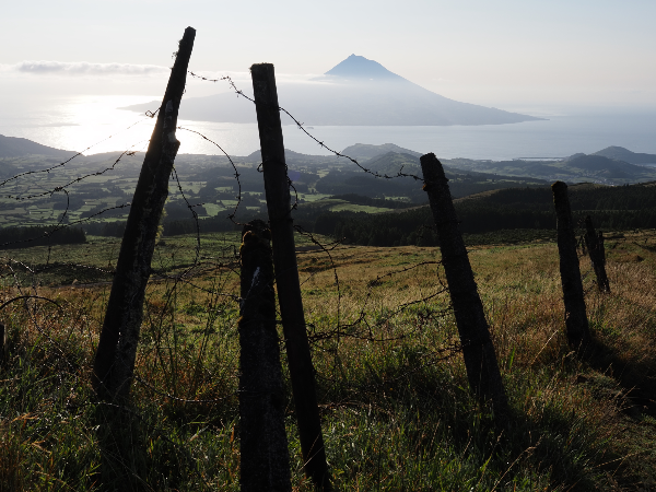 Photos of Caldeira do Cabeço Gordo in Faial Island, 9900, Portugal - Photo 3